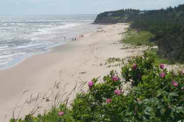 Beach Cottage PEI