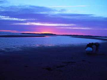 PEI Sunset