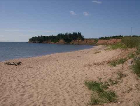white sand beach