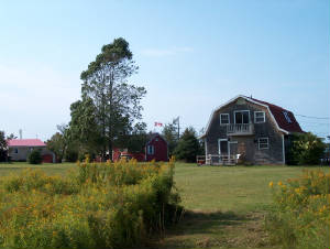 3 cottages