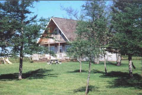 cottage in trees