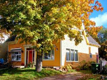 Cottage Rental