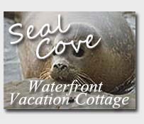 Seal Cove