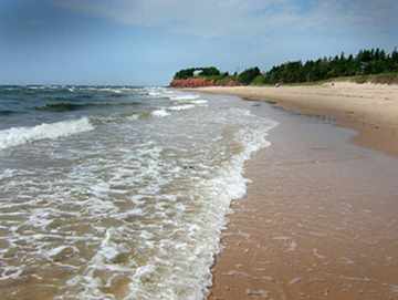On the soft sandy beach