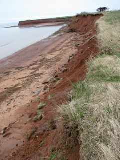 red sands