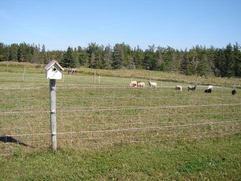 farm stay