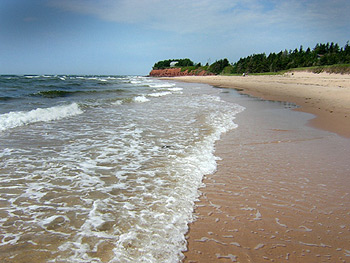 On the soft sandy beach